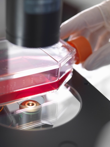 [SA-CAS9-197] CHO-K1/ ITGAE Stable Cell Line