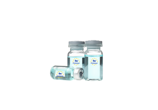 [GEN - PYT336-2ug] VEGF Mouse