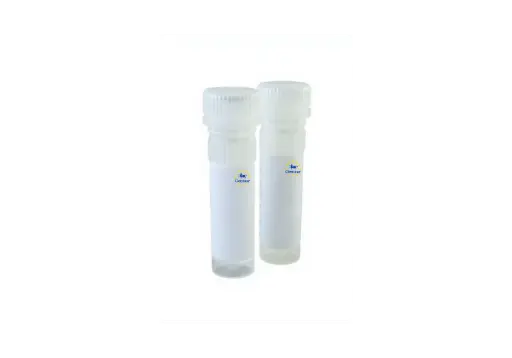[GEN-RAD-QS2005]  green hi rox qpcr kit 500 x 20 l reactions 5 x 1ml